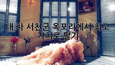 내 차, 서천군 옥포리에서 최고 가치로 팔기! 🚗💰