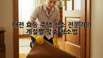 대전 효동 주택 청소 전문가의 계절별 맞춤 청소법
